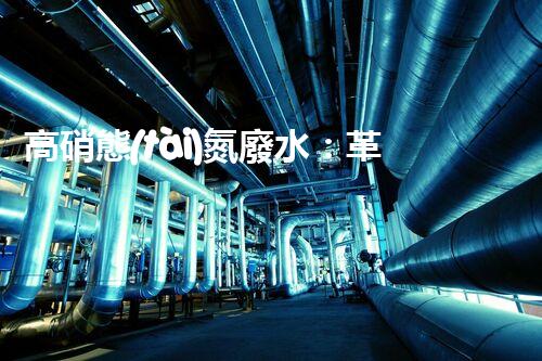 高硝態(tài)氮廢水：革新處理技術(shù)，解決環(huán)境隱患！